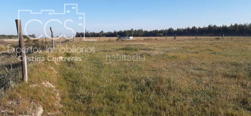 Foto a91db3c4-403d-42fc-9aef-9c6cab349031. Finca rústica a Almonte Almonte