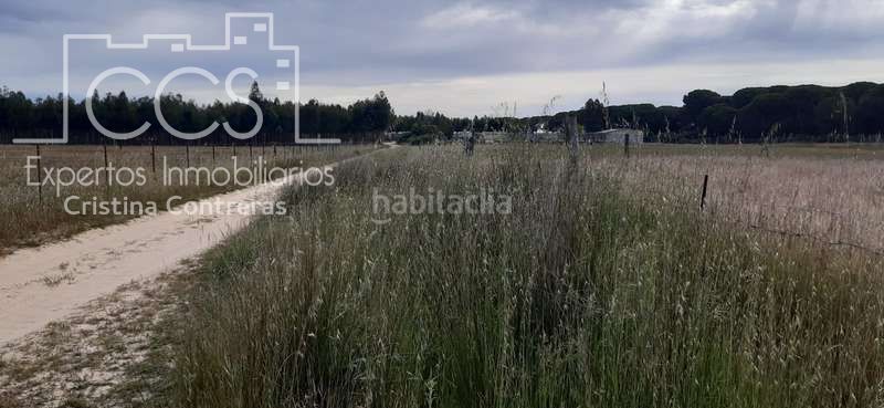 Foto b0ec1ed8-925d-4666-aebb-d1e912892cf9. Finca rústica a Almonte Almonte