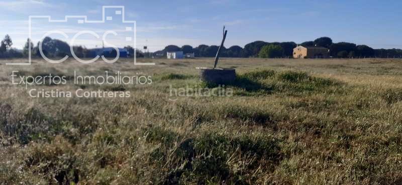 Foto b54305d1-358e-4d49-a851-d90407c43da1. Propriété dans Almonte Almonte