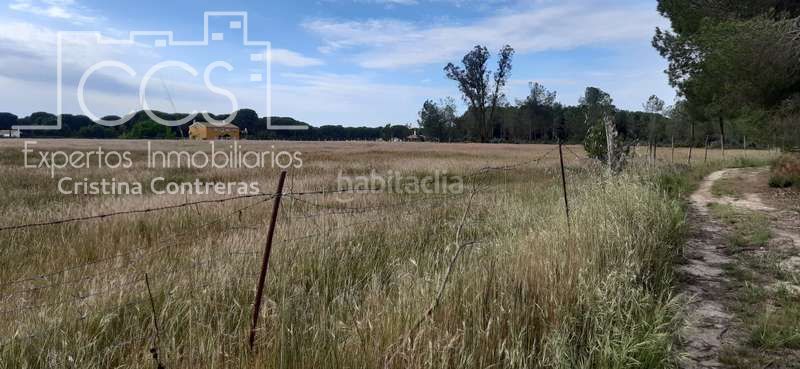 Foto b6e84a36-3d62-43e0-b98d-9c1fe2eb162f. Finca rústica a Almonte Almonte