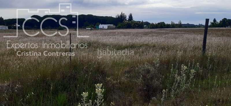 Foto bd2fe219-b226-4978-9c8d-79b8ebbe8720. Propriété dans Almonte Almonte