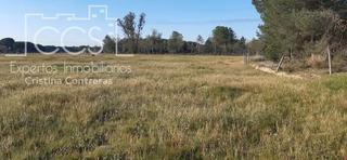 Rural plot in Almonte. Venta de finca en concesión de 26.700 m2 en almonte, huelva