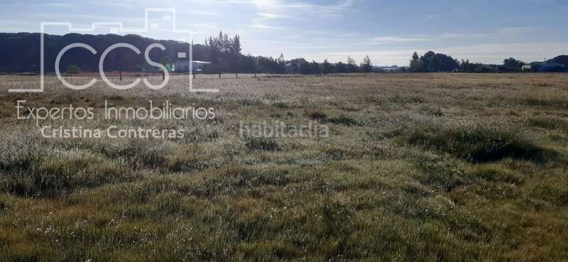 Foto cee3aa5e-8beb-48de-8fda-28ef28f7b000. Finca rústica a Almonte Almonte