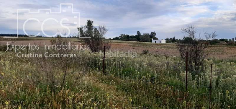 Foto e6fab63b-87e8-4bda-81dc-ea6b6e67a99e. Finca rústica a Almonte Almonte