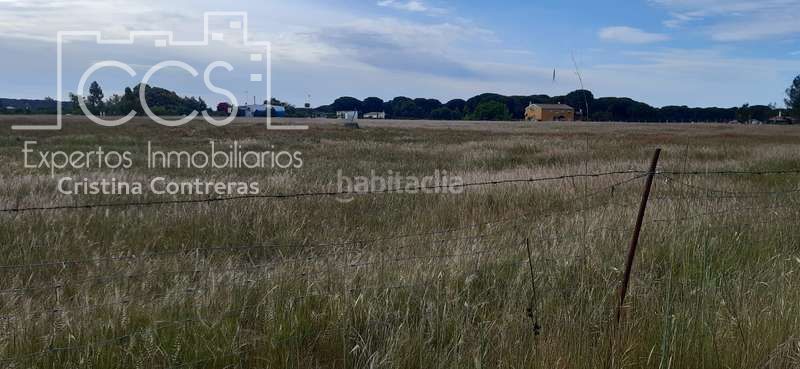 Foto e8511917-ee5e-44d5-8449-a29ff165fdea. Finca rústica a Almonte Almonte