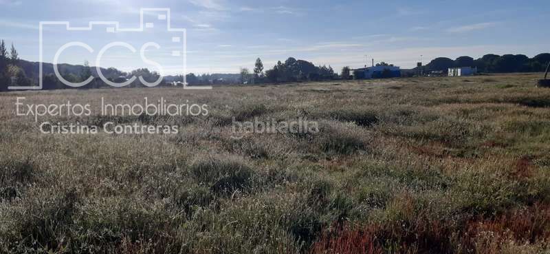 Foto ec06e55c-0aa3-4625-960a-a48931b28dcf. Finca rústica a Almonte Almonte