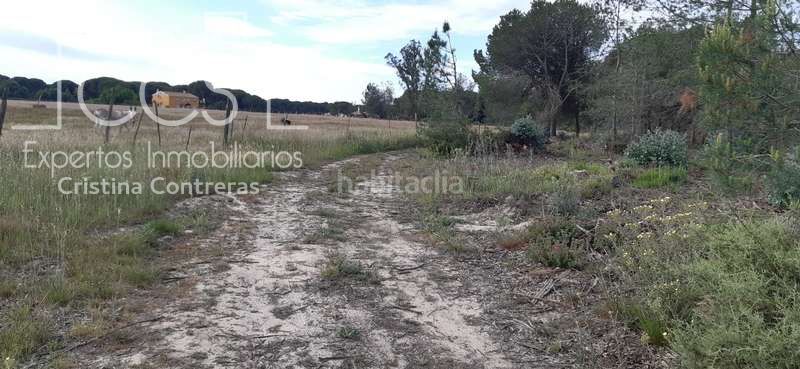 Foto fa6cde3d-1e3b-4a03-ba88-45ab860370b7. Finca rústica a Almonte Almonte