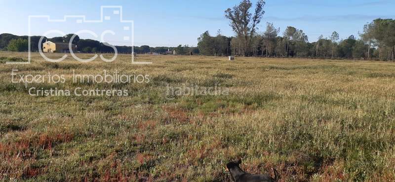 Foto fb117139-cab3-4e2f-b05d-79e30f6f0112. Finca rústica a Almonte Almonte