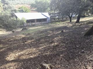 Finca rústica a Cazalla de la Sierra. Venta de finca rústica de 7,4675 ha. de encinas y alcornoques co
