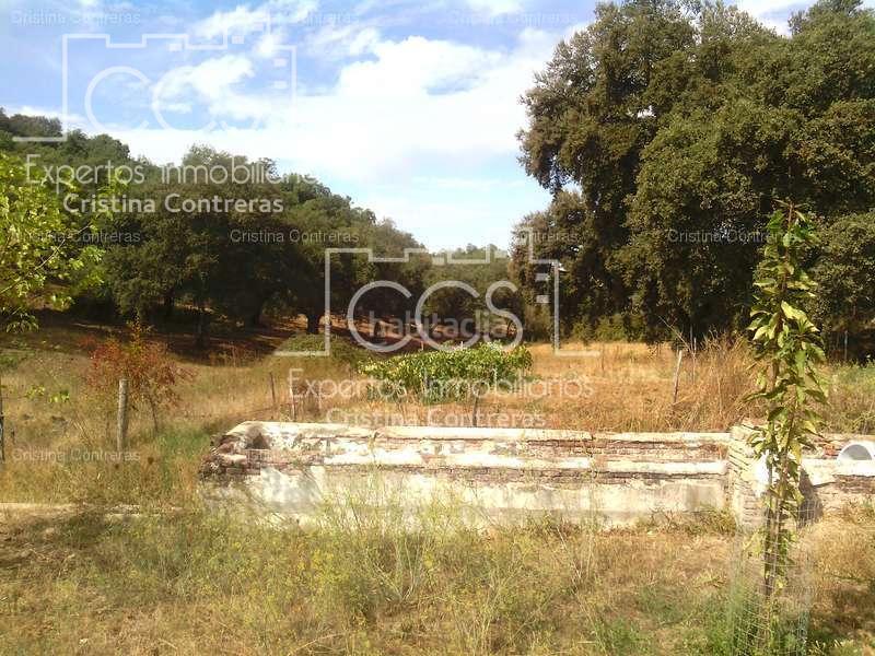 Foto 0b3b184f-e25a-464e-9666-6d621c576fdf. Finca rústica a Cazalla de la Sierra