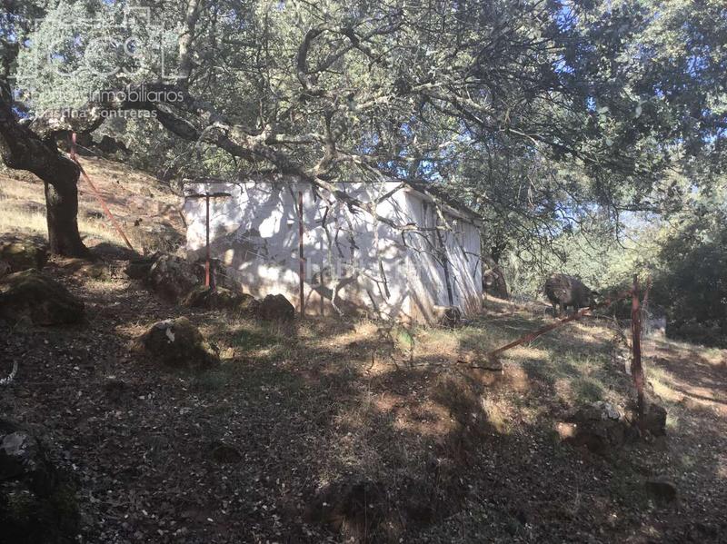 Foto 158d8fd7-34c9-4028-b0ad-9e8420356894. Finca rústica a Cazalla de la Sierra