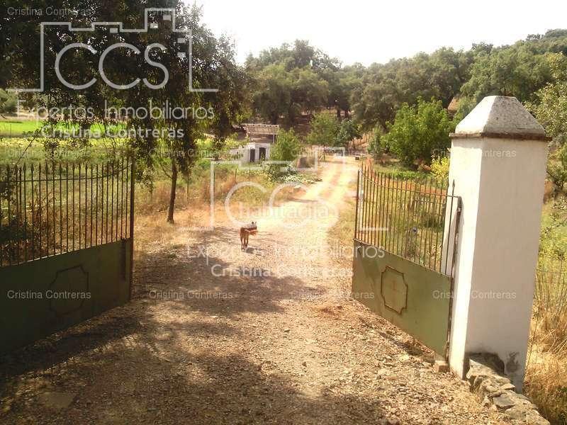 Foto 5be51b64-5ee4-4fc5-b109-f515dfdc5bc5. Finca rústica a Cazalla de la Sierra