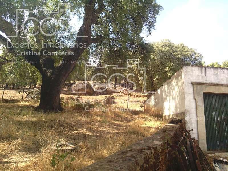 Foto 7658b40a-1917-47ba-a1fa-8ba7fe8b188e. Finca rústica a Cazalla de la Sierra