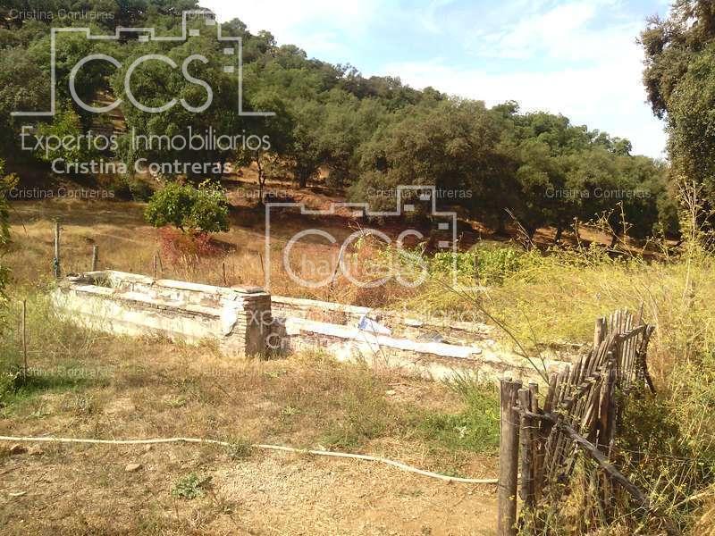 Foto c8212a41-609a-43f3-8edc-fd48b96721ba. Finca rústica a Cazalla de la Sierra