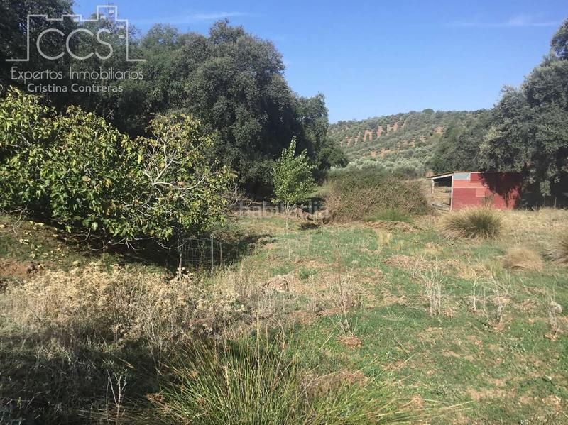Foto f5985701-9a79-4e4f-be62-e214976b14b7. Finca rústica a Cazalla de la Sierra