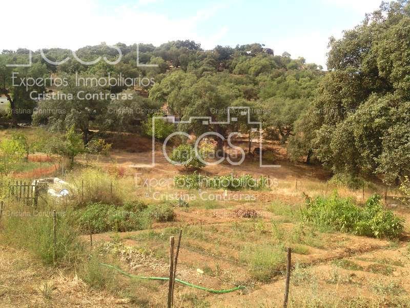 Foto f5a2a277-9bb9-4501-9bd4-c385dfeb2076. Finca rústica a Cazalla de la Sierra