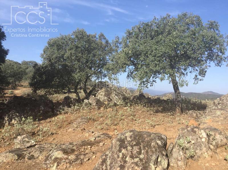 Foto f7113c4e-8f4e-4e7d-88d1-482a8197caea. Finca rústica a Cazalla de la Sierra