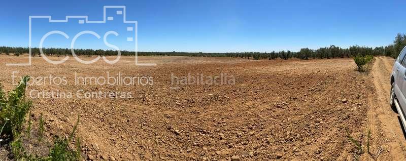 Foto 1a22e6f2-3dea-4bfb-b67b-ebe3194d0526. Finca rústica a Almonte Almonte