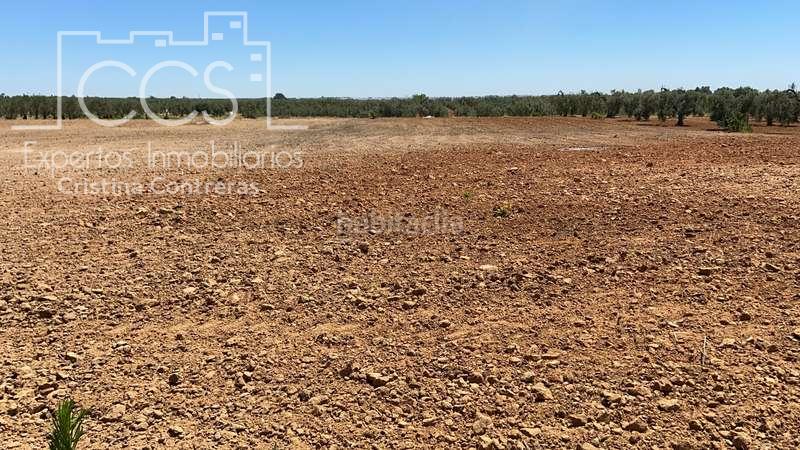 Foto 7e81542b-a873-4df9-a911-aa1844e13b7b. Finca rústica a Almonte Almonte