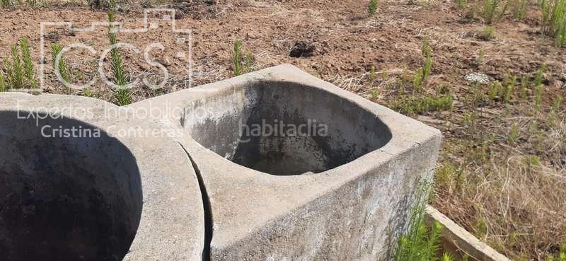 Foto 8db811ac-c86a-4faa-afe6-41d5f6695a63. Finca rústica a Almonte Almonte