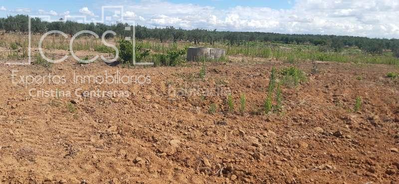 Foto bb6fe2a2-d86a-4048-9729-0ae646cb7f35. Finca rústica a Almonte Almonte