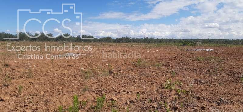 Foto eecafc04-0859-4a66-a665-985e249a1918. Finca rústica a Almonte Almonte