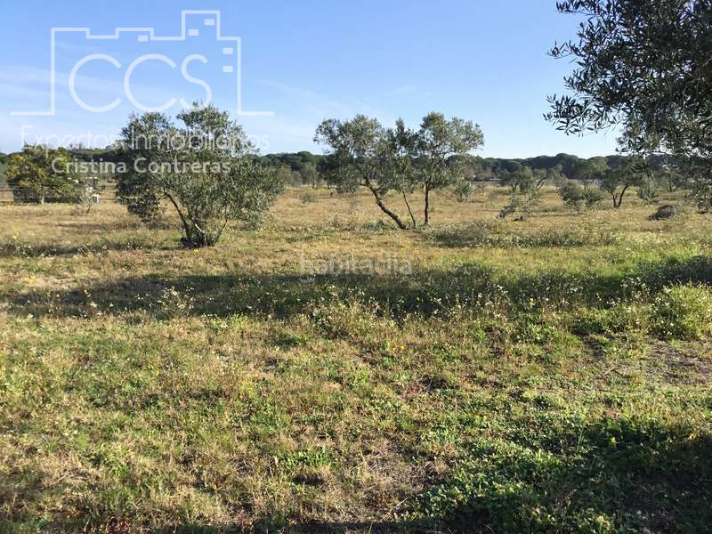 Foto 0b9ab329-e97e-4061-bfeb-f8930d0a39b7. Masia a Almonte Almonte