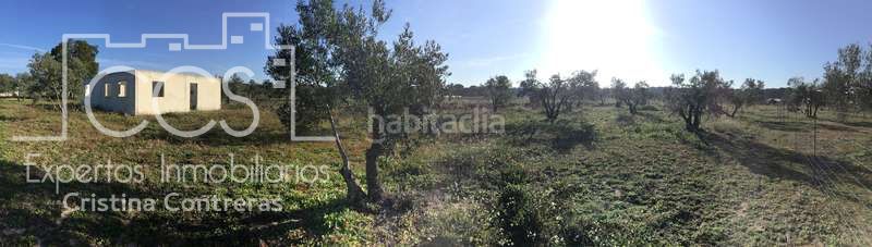 Foto 189f4b26-27cf-446c-acd3-bd7f5ea84023. Masia a Almonte Almonte