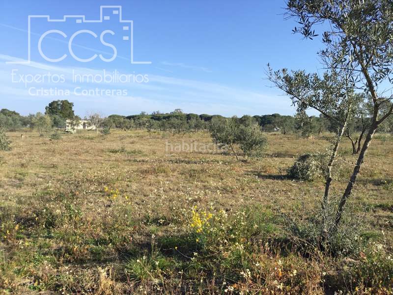 Foto 6af44085-1735-4e7f-a57b-9a45aebe3372. Masia a Almonte Almonte