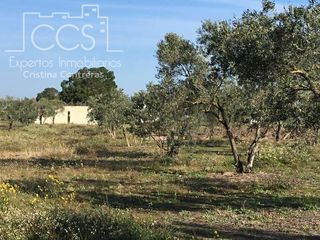 Masia a Almonte. Venta de finca en concesión, de 6.200m2 de terreno y vivienda de
