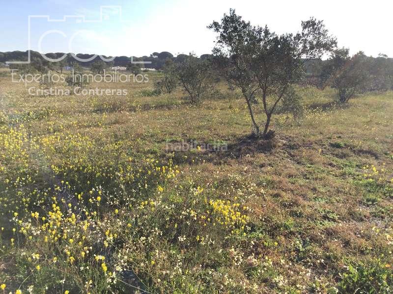 Foto 54a13c06-1932-4c73-9329-3345daa8aa6d. Masia a Almonte Almonte