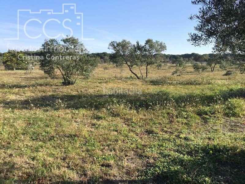 Foto 6e90d2f1-14f4-4554-a604-a8d149d54dc7. Masia a Almonte Almonte