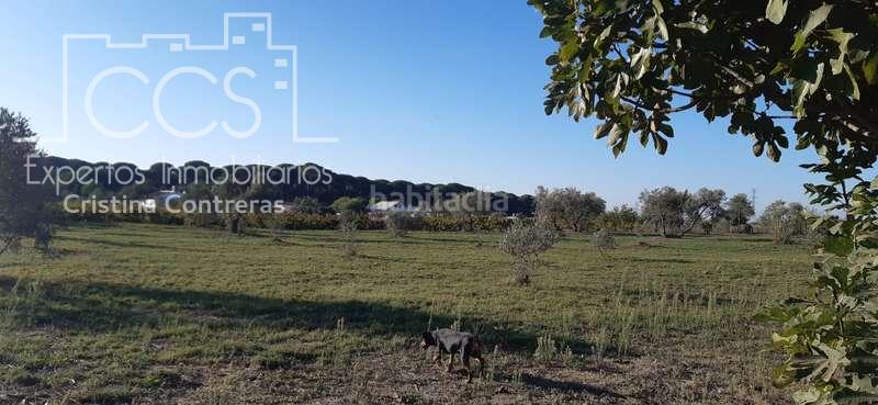 Foto a5359333-25cd-43fd-a705-a266bac0cbbb. Masia a Almonte Almonte