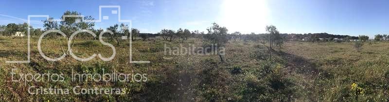 Foto bcc1f681-bce4-4241-843e-8d683567d579. Masia a Almonte Almonte