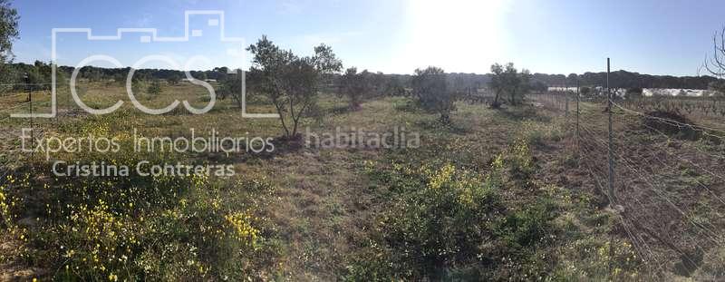 Foto d0c622d4-9961-472e-a6f2-eea05f85cea5. Masia a Almonte Almonte