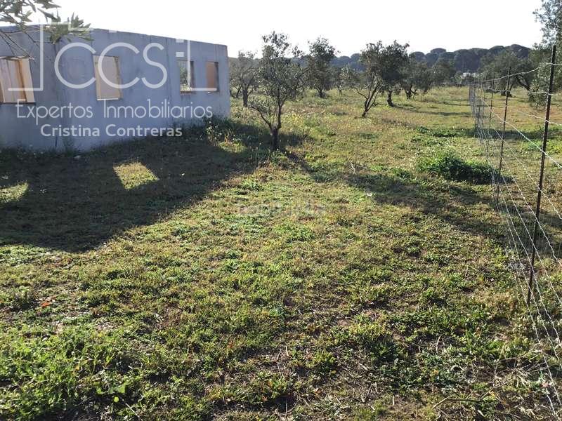 Foto da85e96e-411c-4462-bbc2-92363f8d0893. Masia a Almonte Almonte