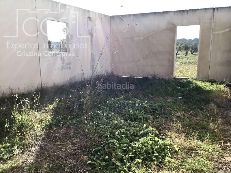 Foto dbd68a0e-8a13-4cc3-a6e4-a438a2f30f9e. Masia a Almonte Almonte