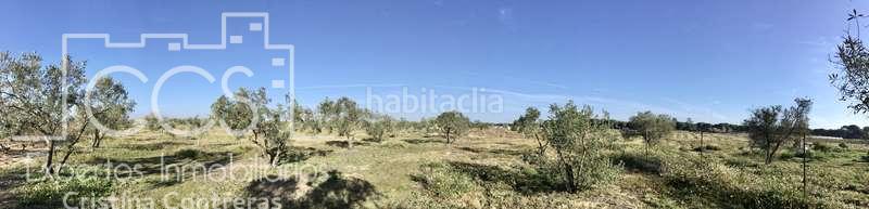 Foto e8d27603-7910-479a-acd0-feb262ebd79d. Masia a Almonte Almonte