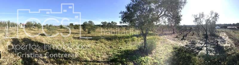 Foto f10c01eb-dab1-4394-b981-60fe8fcc7d57. Masia a Almonte Almonte