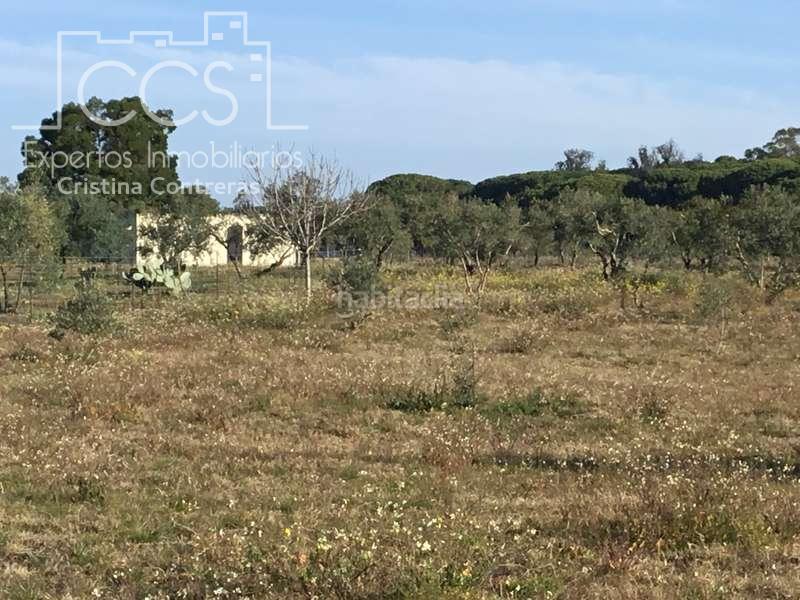 Foto f37a2df1-182f-4c51-b80d-7581d86e84b2. Masia a Almonte Almonte