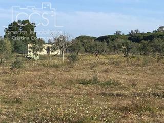 Masía en Almonte. Venta de finca en concesión, de 6.500m2 de terreno y vivienda de