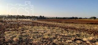 Rural plot in Almonte. Venta de finca de 15ha en almonte huelva en propiedad