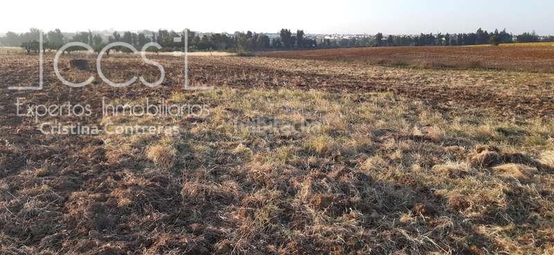 Foto 3fd48942-e690-4ec4-ad9e-a1106e6b8e0a. Landgut in Almonte Almonte