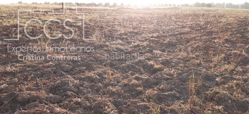 Foto 8179caf7-548f-4627-a50a-fb30becde0c9. Landgut in Almonte Almonte