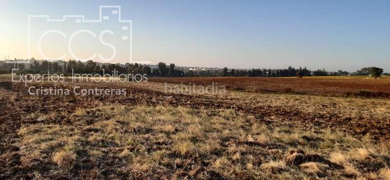 Foto 90ed6f9e-4c20-4ad5-b5b1-22c2c64f0697. Landgut in Almonte Almonte