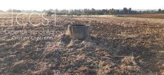 Landgut in Almonte. Venta de finca en propiedad de 13.604 m2 en almonte huelva