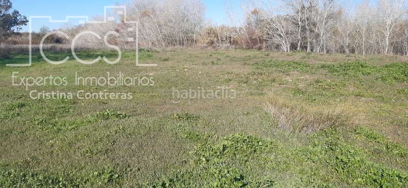 Foto 0be15daf-63ea-405c-830e-d07df8ce3ab3. Finca rústica a Almonte Almonte