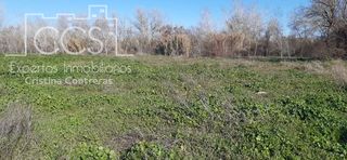 Landgut in Almonte. Venta de finca  en propiedad, de 3ha de terreno en almonte.