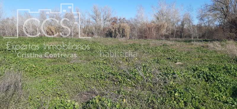 Foto 0d438643-2165-40fa-99d9-2d283b24bad7. Finca rústica a Almonte Almonte