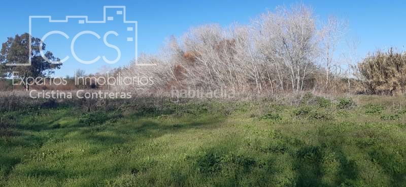 Foto 1f1015c1-7db6-4211-a97e-f4a709ecf1f6. Finca rústica a Almonte Almonte